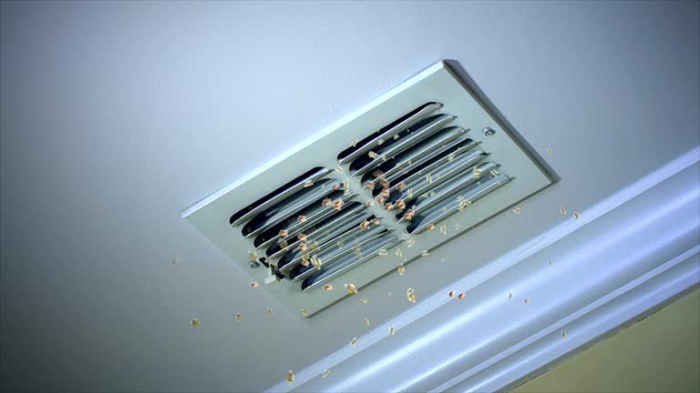 Best Commercial Air Duct Cleaning  in Powder Springs, GA