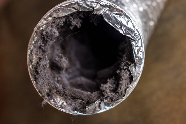 Best Dryer Vent Cleaning Services  in Powder Springs, GA